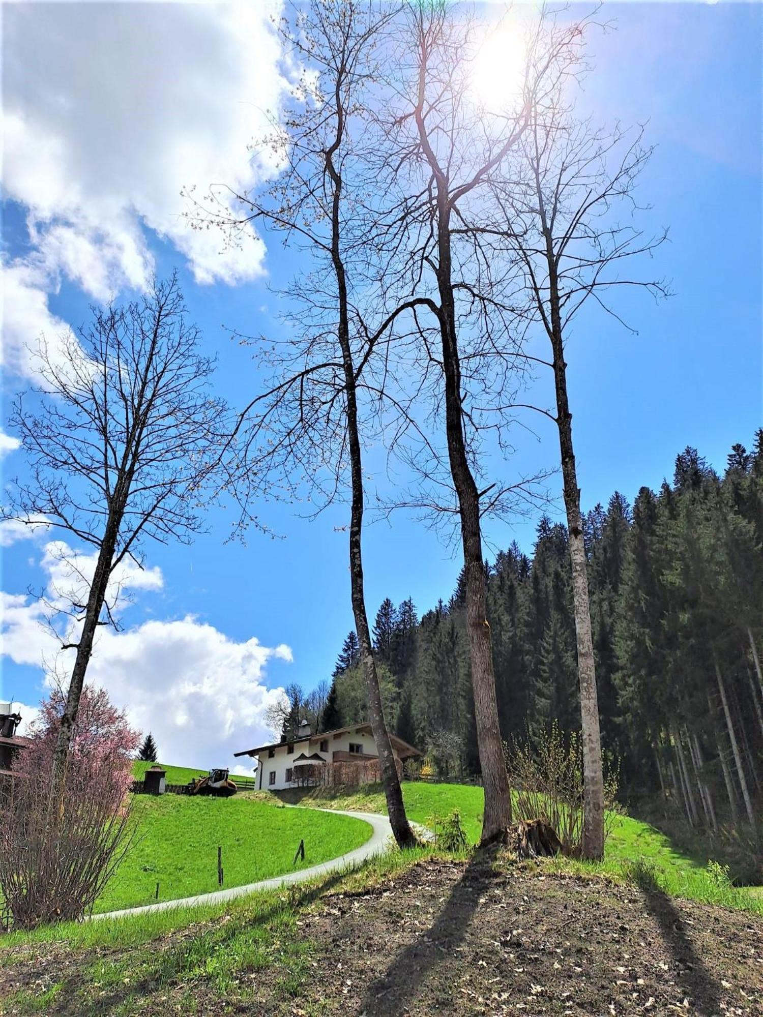 Ferienhaus Hansl Prama Exterior foto
